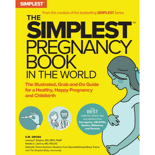 The Simplest Pregnancy Book in the World