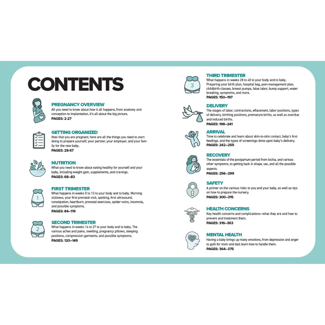 The Simplest Pregnancy Book in the World