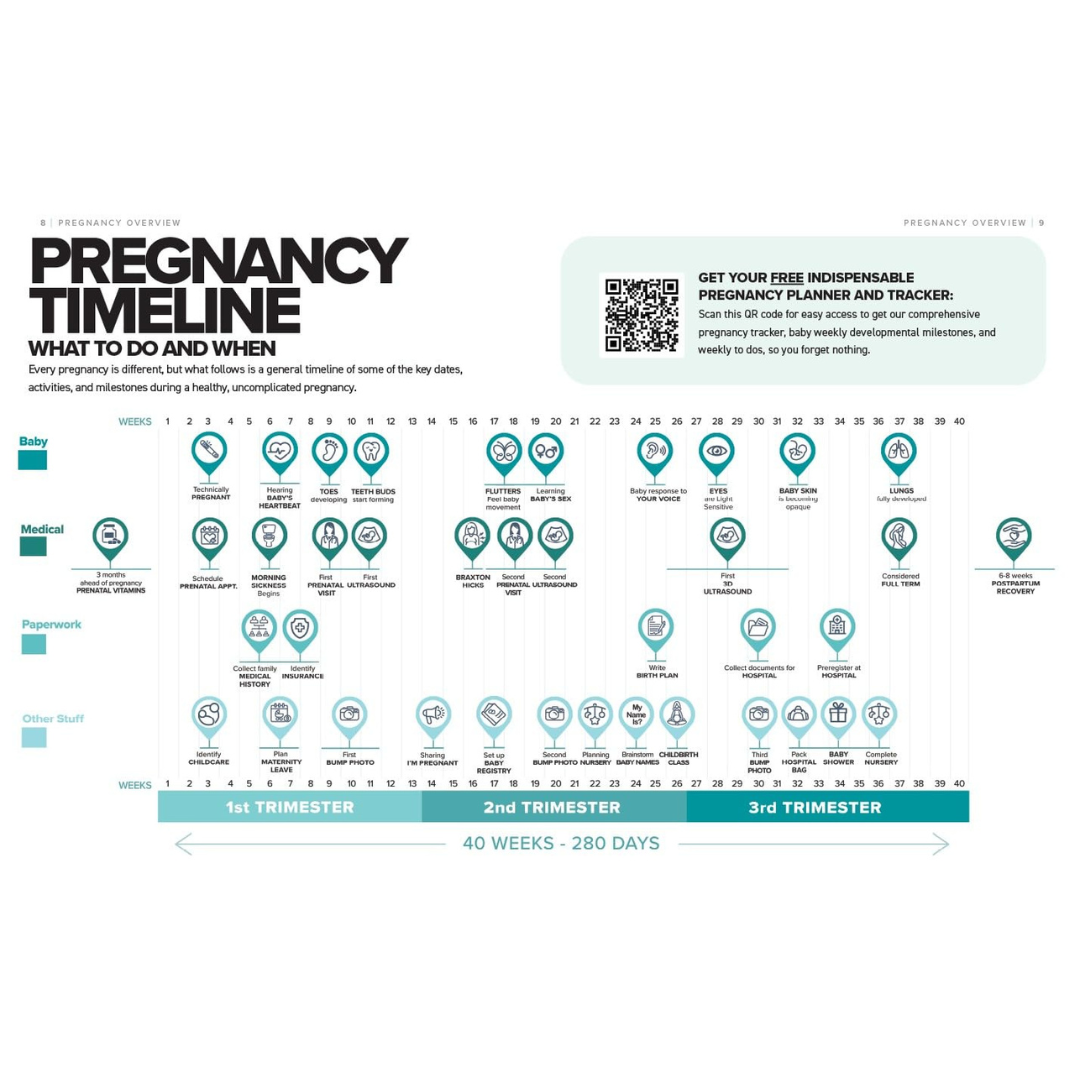 The Simplest Pregnancy Book in the World