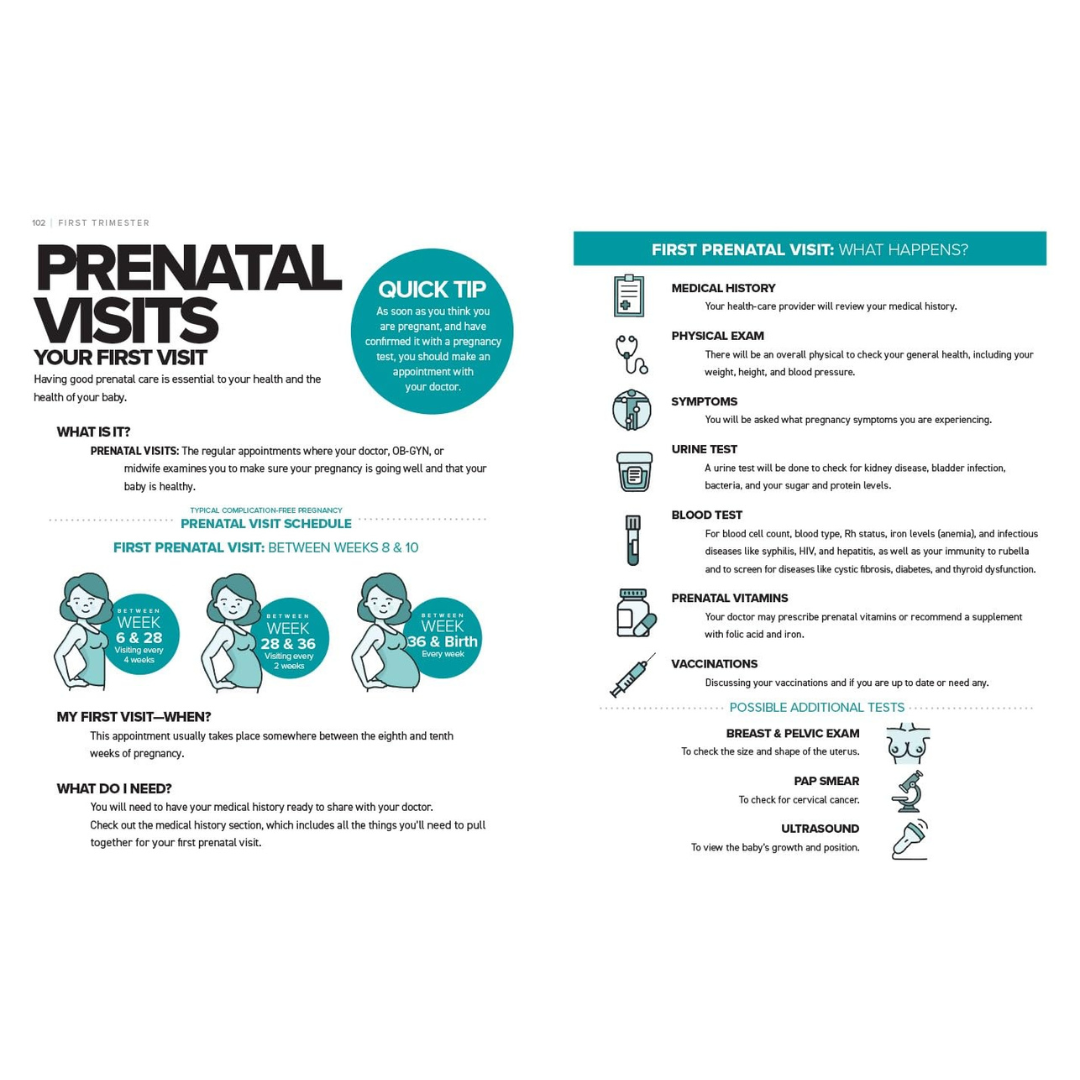 The Simplest Pregnancy Book in the World