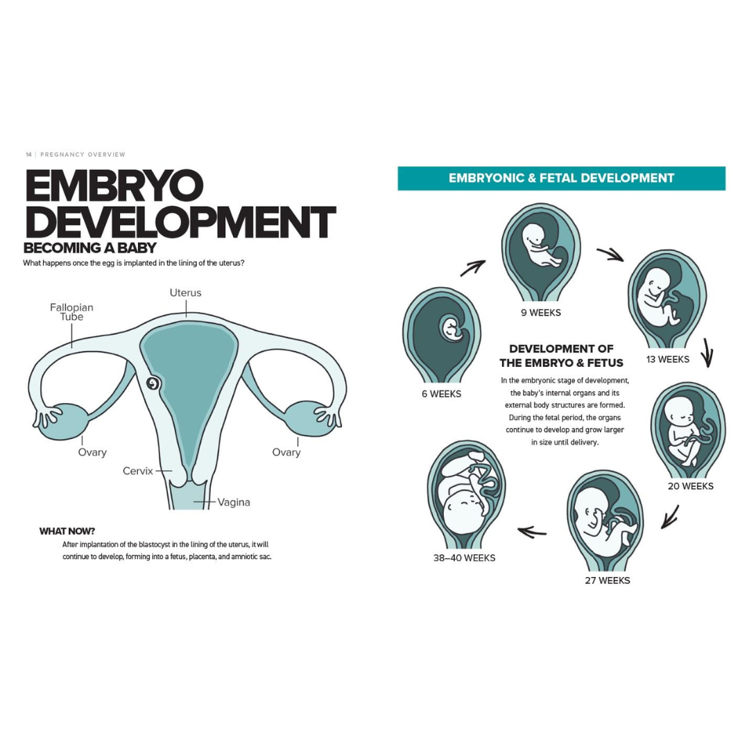 The Simplest Pregnancy Book in the World